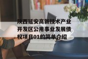 陕西延安高新技术产业开发区公用事业发展债权项目01的简单介绍