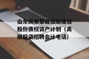 山东高顺基础设施建设股份债权资产计划（高顺投资招聘会计电话）