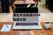 湖北大冶投资2024融资计划