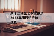 关于江油星乙农业投资2023年债权资产的信息