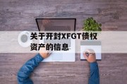 关于开封XFGT债权资产的信息