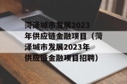 菏泽城市发展2023年供应链金融项目（菏泽城市发展2023年供应链金融项目招聘）