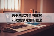 关于成武文亭城投2023政府债定融的信息