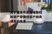 关于重庆市武隆喀斯特旅游产业债权资产拍卖项目的信息