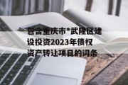 包含重庆市*武隆区建设投资2023年债权资产转让项目的词条