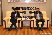 青州国有投资2022年定融计划，青州国有投资2022年定融计划项目