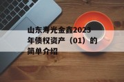 山东寿光金鑫2023年债权资产（01）的简单介绍