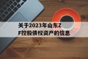 关于2023年山东ZF控股债权资产的信息