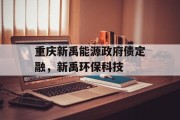 重庆新禹能源政府债定融，新禹环保科技