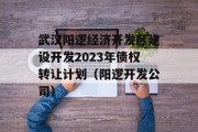 武汉阳逻经济开发区建设开发2023年债权转让计划（阳逻开发公司）