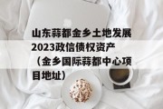 山东蒜都金乡土地发展2023政信债权资产（金乡国际蒜都中心项目地址）