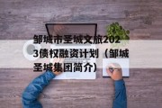 邹城市圣城文旅2023债权融资计划（邹城圣城集团简介）