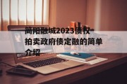 简阳融城2023债权拍卖政府债定融的简单介绍