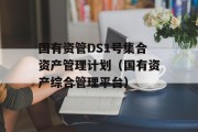 国有资管DS1号集合资产管理计划（国有资产综合管理平台）