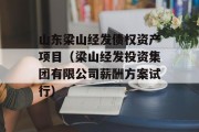 山东梁山经发债权资产项目（梁山经发投资集团有限公司薪酬方案试行）