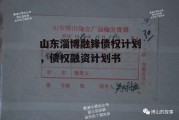 山东淄博融锋债权计划，债权融资计划书