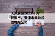 天津辰融2023年债权资产，天津市辰融投资有限公司