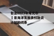 包含2023年寿光市昇景海洋发展债权融资计划的词条