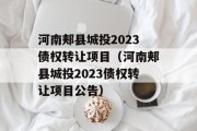 河南郏县城投2023债权转让项目（河南郏县城投2023债权转让项目公告）