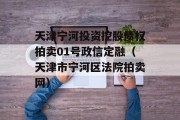 天津宁河投资控股债权拍卖01号政信定融（天津市宁河区法院拍卖网）