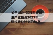 关于湖北*武汉阳逻新港产业投资2023年债权转让计划的信息