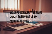 武汉阳逻新港产业投资2023年债权转让计划的简单介绍