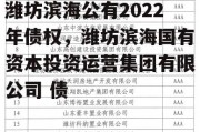 潍坊滨海公有2022年债权，潍坊滨海国有资本投资运营集团有限公司 债