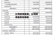 公司财务报表，公司财务报表有哪些