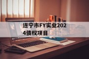 遂宁市FY实业2024债权项目