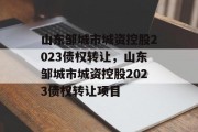 山东邹城市城资控股2023债权转让，山东邹城市城资控股2023债权转让项目