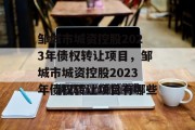 邹城市城资控股2023年债权转让项目，邹城市城资控股2023年债权转让项目有哪些