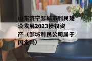 山东济宁邹城市利民建设发展2023债权资产（邹城利民公司属于国企吗）