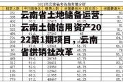 云南省土地储备运营-云南土储信用资产2022第1期项目，云南省供销社改革