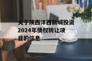 关于陕西沣西新城投资2024年债权转让项目的信息