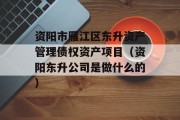 资阳市雁江区东升资产管理债权资产项目（资阳东升公司是做什么的）