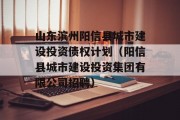 山东滨州阳信县城市建设投资债权计划（阳信县城市建设投资集团有限公司招聘）