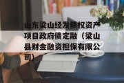 山东梁山经发债权资产项目政府债定融（梁山县财金融资担保有限公司）