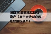 湖南SD应收账款债权资产（阜宁金沙湖应收账款债权资产）