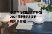 重庆市潼南区旅游开发2023债权转让项目的简单介绍