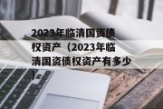 2023年临清国资债权资产（2023年临清国资债权资产有多少）