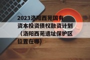 2023洛阳西苑国有资本投资债权融资计划（洛阳西苑遗址保护区位置在哪）