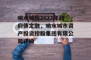 响水城投2022年政府债定融，响水城市资产投资控股集团有限公司评级