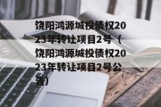 饶阳鸿源城投债权2023年转让项目2号（饶阳鸿源城投债权2023年转让项目2号公告）