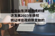 包含山东济源市虎岭经济发展2023年债权转让项目政府债定融的词条