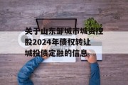 关于山东邹城市城资控股2024年债权转让城投债定融的信息