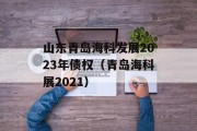 山东青岛海科发展2023年债权（青岛海科展2021）