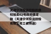 天津宁河投资控股的债权拍卖02号政府债定融（天津宁河投资控股有限公司工资待遇）