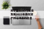 关于重庆DZYS实业发展2023年债权资产转让项目的信息