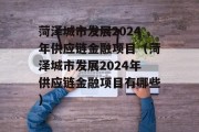 菏泽城市发展2024年供应链金融项目（菏泽城市发展2024年供应链金融项目有哪些）