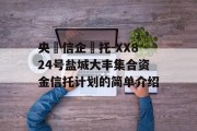 央‮信企‬托-XX824号盐城大丰集合资金信托计划的简单介绍